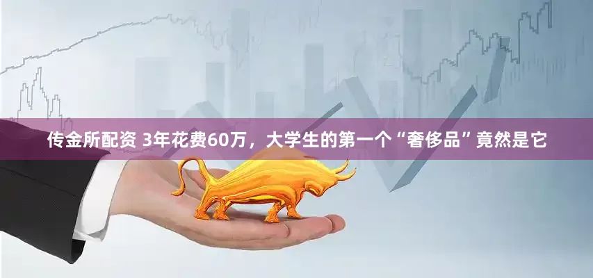 传金所配资 3年花费60万，大学生的第一个“奢侈品”竟然是它