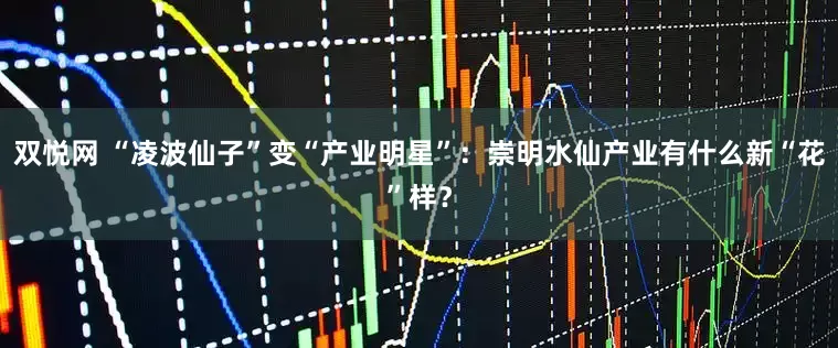 双悦网 “凌波仙子”变“产业明星”：崇明水仙产业有什么新“花”样？