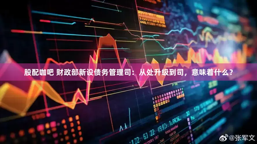 股配咖吧 财政部新设债务管理司：从处升级到司，意味着什么？