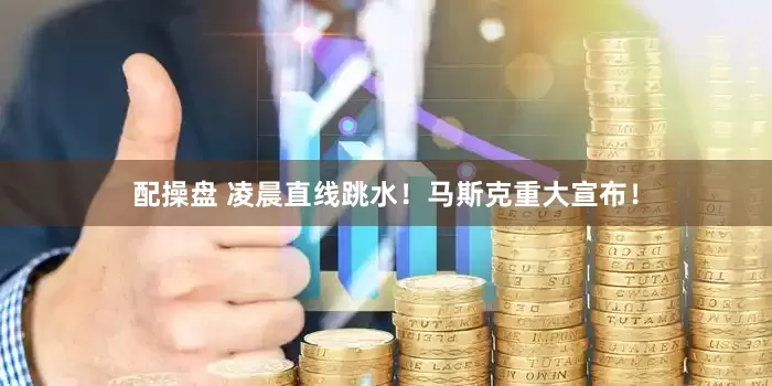 配操盘 凌晨直线跳水！马斯克重大宣布！