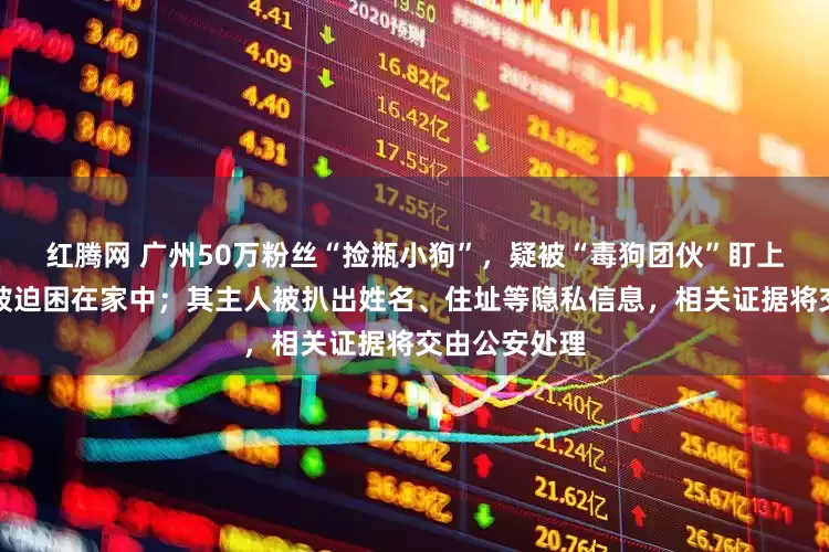 红腾网 广州50万粉丝“捡瓶小狗”，疑被“毒狗团伙”盯上，目前只能被迫困在家中；其主人被扒出姓名、住址等隐私信息，相关证据将交由公安处理
